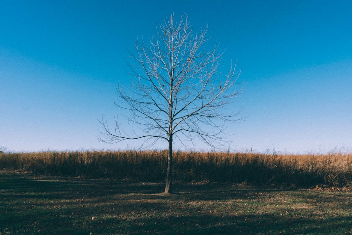 Alone, Together: The Quiet Spaces Within Us