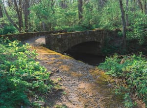 The Bridge and Despair