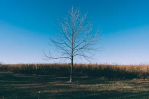 Alone, Together: The Quiet Spaces Within Us