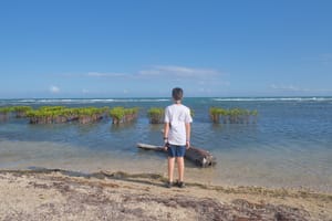Puerto Rico 2022: The Timeless Glow of a Memory